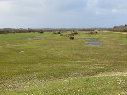 Feb 2014: C9 view eastwards